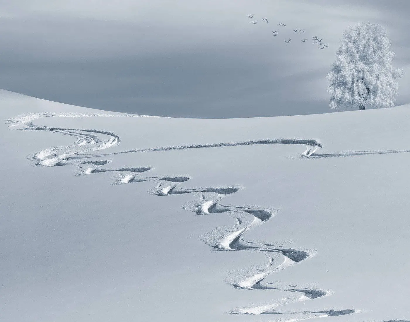Fußspuren in einer verschneiten Landschaft